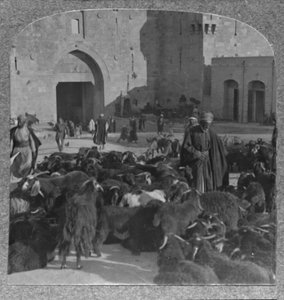 Şam Kapısı