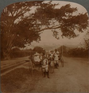 Yerliler tarafından bir konut yolunda çekilen taksiler, Durban, G. Africa, c1900 by Unbekannt