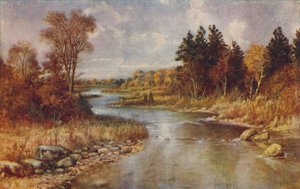 Kanada Orman Manzarası, 1924 by Unbekannt