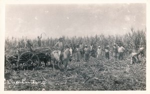 Baston Kesme, c1930 by Unbekannt