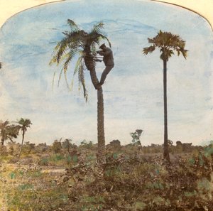 Kaptan Osman
