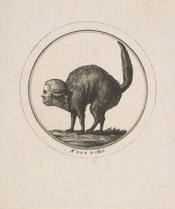 Comte de Provence