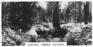 Karting kerestesi, Victoria, Avustralya, 1928 by Unbekannt