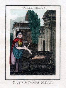 Kediler ve Köpekler Eti!, Bethlem Hastanesi, Londra, 1805 by Unbekannt