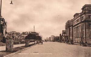 Central Avenue, Kalküta, c1900 by Unbekannt