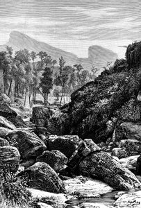 Seylan Sri Lanka, 1895 by Unbekannt