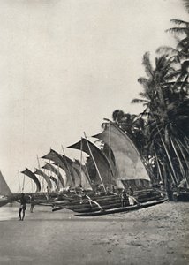 Seylan payandalı deniz balıkçı tekneleri, 1926 by Unbekannt