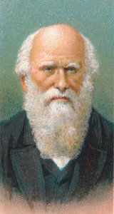 Charles Darwin 1809-1882, İngiliz doğa bilimci, 1924 by Unbekannt
