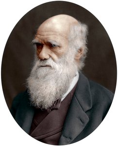 Charles Darwin, İngiliz doğa bilimci, 1878 by Unbekannt