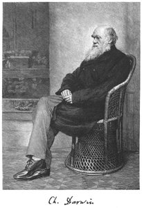 Charles Darwin, İngiliz doğa bilimci, 1883 by Unbekannt
