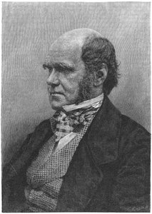Charles Darwin, İngiliz doğa bilimci, 1884 by Unbekannt