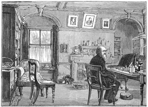Charles Darwin, İngiliz doğa bilimci, çalışmasında, c1870 1887 by Unbekannt