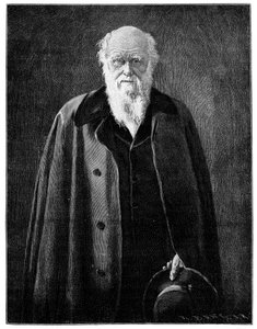 Charles Darwin, ünlü doğa bilimci ve düşünür, 1900 by Unbekannt