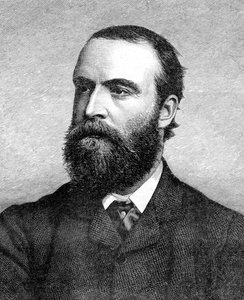Charles Stuart Parnell, 19. yüzyıl İrlandalı Politikacı, c1874-1891 by Unbekannt