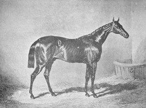Charles XII, St. Leger'in Kazananı 1839, 1911 by Unbekannt