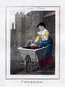 Kirazlar, St James Sarayı, Londra, 1805 by Unbekannt