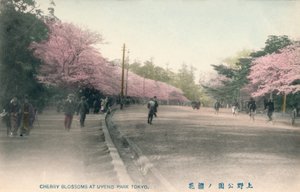 Uyeno Park Tokyo