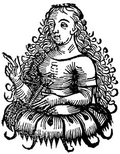 Kimmer Sibil, 1493 by Unbekannt