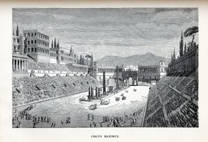Sirk Maximus, 1882 by Unbekannt