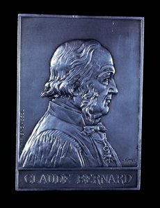 Claude Bernard, 19. yüzyıl Fransız fizyologu, 1913 by Unbekannt