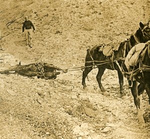 Savaş alanını temizlemek, c1914-c1918 by Unbekannt