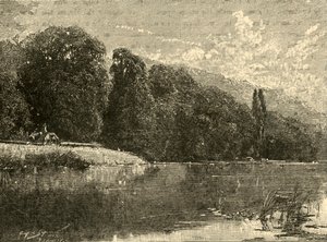 Cliefden Woods, 1898. by Unbekannt