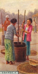 Kahve, 3. Fasulyelerin Soyulması, Java, 1928 by Unbekannt