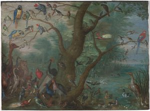 Kuşlar Konseri, 16601670. by Unbekannt
