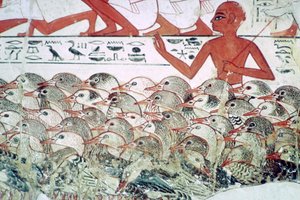 Kazları saymak: Nebamun, Thebes, Mısır, c1350 M.Ö. mezarından duvar resmi parçası by Unbekannt