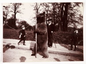 Dans eden ayı, c 1905 by Unbekannt