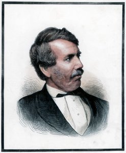 David Livingstone, İskoç misyoner ve Afrikalı kaşif, 1874 by Unbekannt