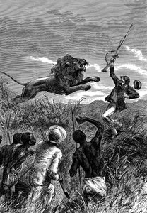 David Livingstone, İskoç misyoner ve Afrikalı kaşif, bir aslan tarafından suçlanıyor, c1860 by Unbekannt