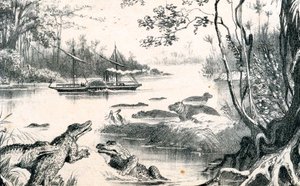 David Livingstone Zambezi