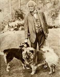David Lloyd George, 1935. by Unbekannt