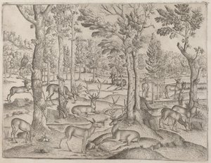 Ormanda Geyik, c. 1520. by Unbekannt