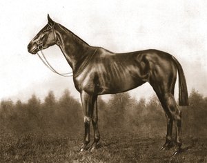 Ağırbaşlı, 1911. by Unbekannt