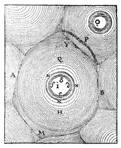 Evrenin Descartes modeli, 1668 by Unbekannt