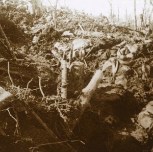 Yok edilen sığınak, Les Éparges, kuzey Fransa, 1915. by Unbekannt