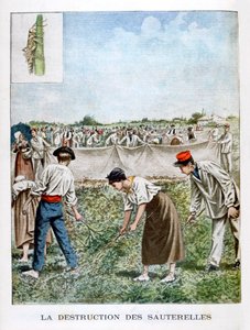 Çekirgenin yok edilmesi, 1901 by Unbekannt