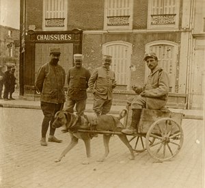 Köpek arabası, Fransa, c1914-c1918 by Unbekannt