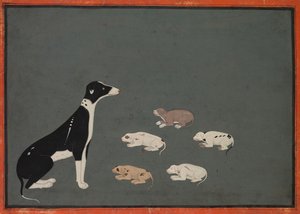 Yavru köpek, c. 1780. by Unbekannt