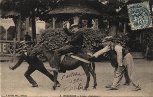 Eşek Tetu ve İnatçı - 1904 tarihli kartpostal by Unbekannt