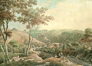 Drysllwyn Şatosu, Carmarthenshire, c1900. by Unbekannt