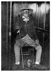 Jeremy Bentham