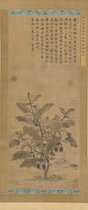 Patlıcan, Ming hanedanı, 1368-1644. by Unbekannt