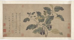 Patlıcan, Yuan veya Ming hanedanı, 14. yüzyıl. by Unbekannt