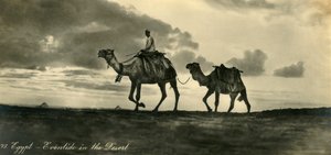 Mısır - Çölde Eventide, c1918-c1939. by Unbekannt