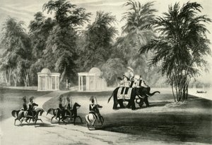 Barrackpore Park'ta Filler ve Koruma, 1820, 1925. by Unbekannt