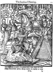 Elizabeth, 1576 geyik tahlili törenini gerçekleştiren by Unbekannt