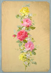 Türkçe: Çizim, Saint Germain